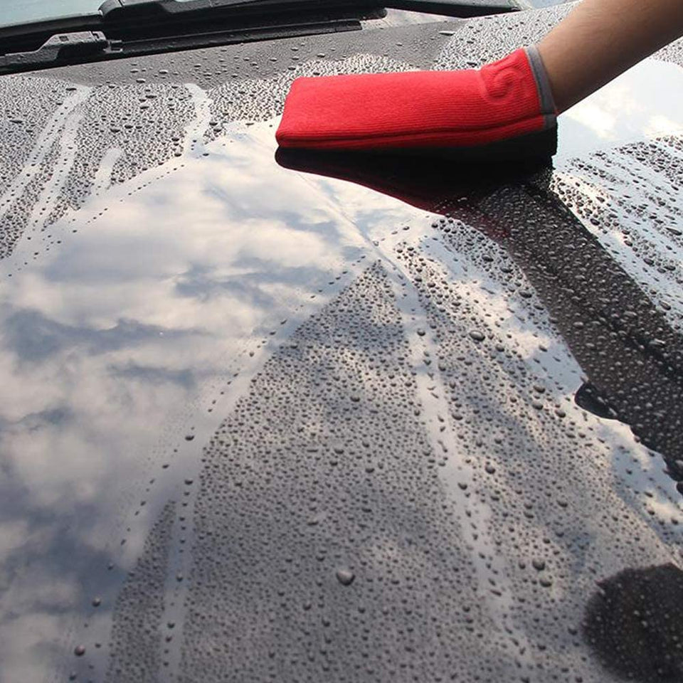 Automotive Wash Mitt